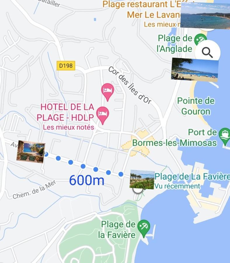 Le Studio Tahiti 4 Pers 600M De La Plage La Faviere Bormes-les-Mimosas Exterior foto